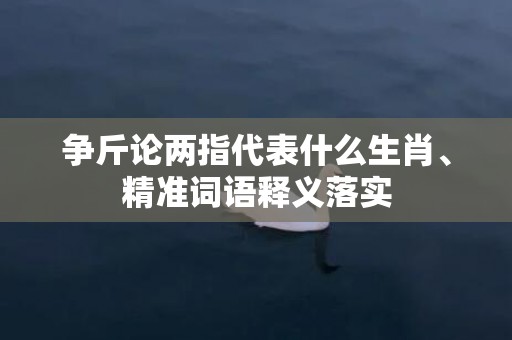 争斤论两指代表什么生肖、精准词语释义落实