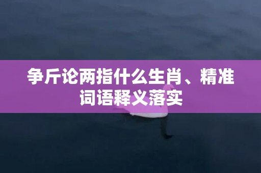 争斤论两指什么生肖、精准词语释义落实