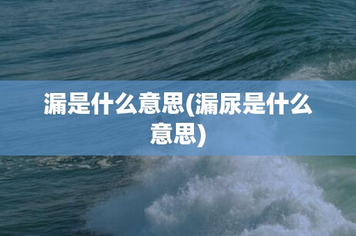 漏是什么意思(漏尿是什么意思)