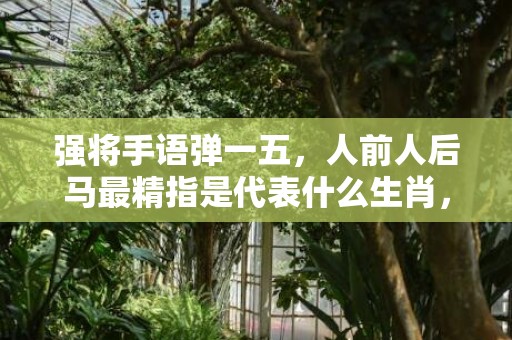 强将手语弹一五，人前人后马最精指是代表什么生肖，精准词语释义落实