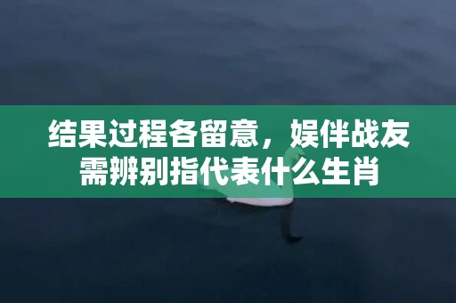 结果过程各留意，娱伴战友需辨别指代表什么生肖