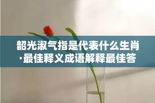 韶光淑气指是代表什么生肖·最佳释义成语解释最佳答