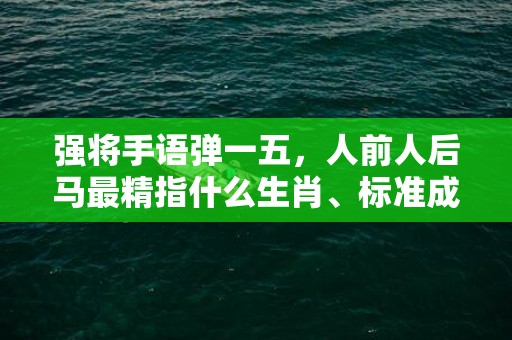 强将手语弹一五，人前人后马最精指什么生肖、标准成语落实释义