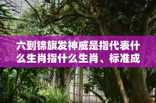 六到锦旗发神威是指代表什么生肖指什么生肖、标准成语落实释义