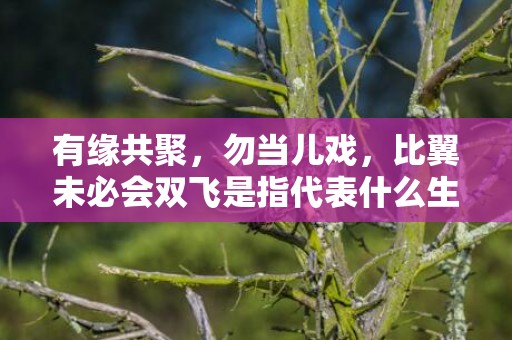 有缘共聚，勿当儿戏，比翼未必会双飞是指代表什么生肖，标准成语落实释义