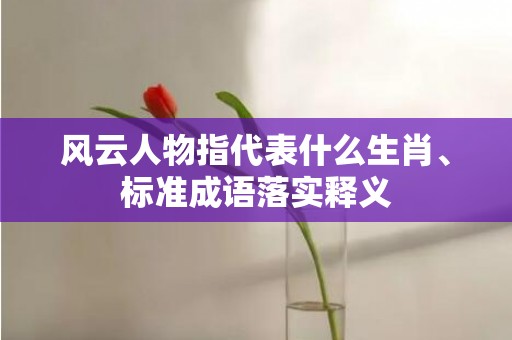 风云人物指代表什么生肖、标准成语落实释义