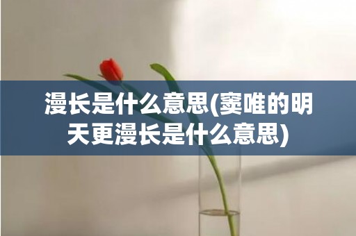 漫长是什么意思(窦唯的明天更漫长是什么意思)