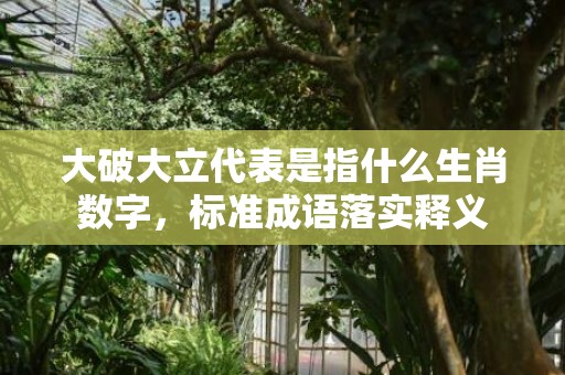 大破大立代表是指什么生肖数字，标准成语落实释义