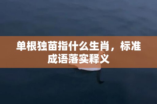 单根独苗指什么生肖，标准成语落实释义