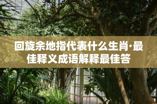 回旋余地指代表什么生肖·最佳释义成语解释最佳答