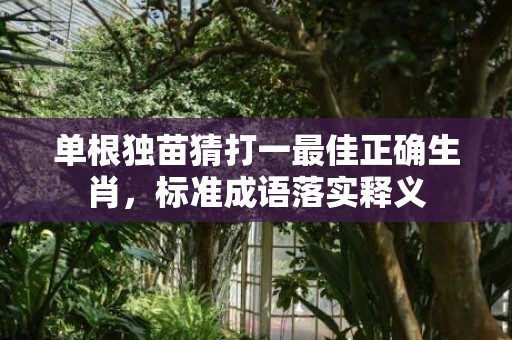 单根独苗猜打一最佳正确生肖，标准成语落实释义