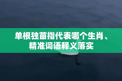 单根独苗指代表哪个生肖、精准词语释义落实