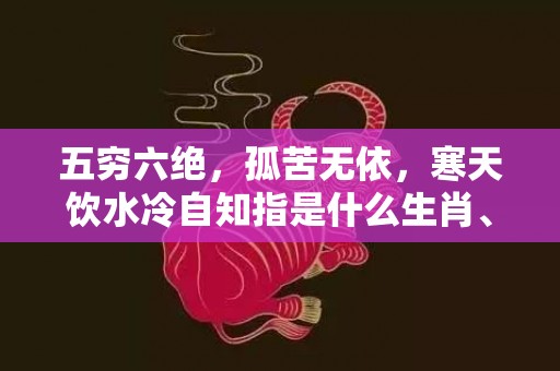 五穷六绝，孤苦无依，寒天饮水冷自知指是什么生肖、精准词语释义落实
