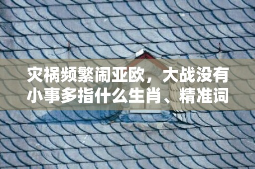灾祸频繁闹亚欧，大战没有小事多指什么生肖、精准词语释义落实