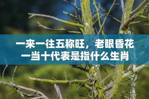 一来一往五称旺，老眼昏花一当十代表是指什么生肖