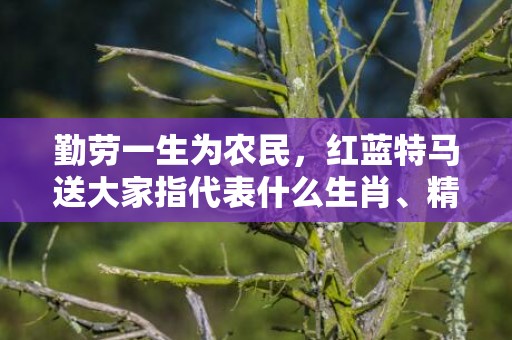勤劳一生为农民，红蓝特马送大家指代表什么生肖、精准词语释义落实