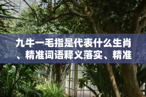 九牛一毛指是代表什么生肖、精准词语释义落实、精准词语释义落实