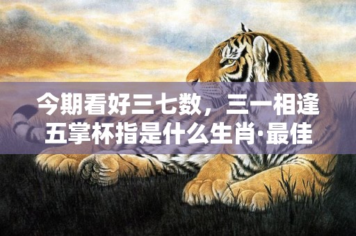 今期看好三七数，三一相逢五掌杯指是什么生肖·最佳释义成语解释最佳答