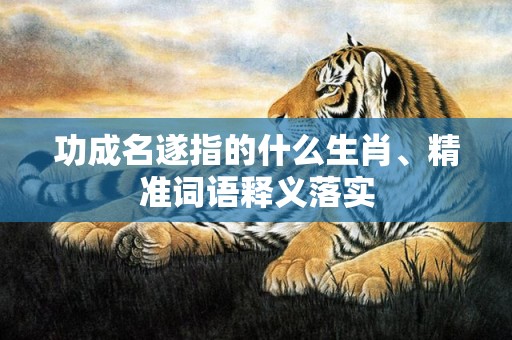 功成名遂指的什么生肖、精准词语释义落实
