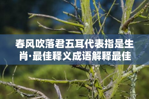 春风吹落君五耳代表指是生肖·最佳释义成语解释最佳答