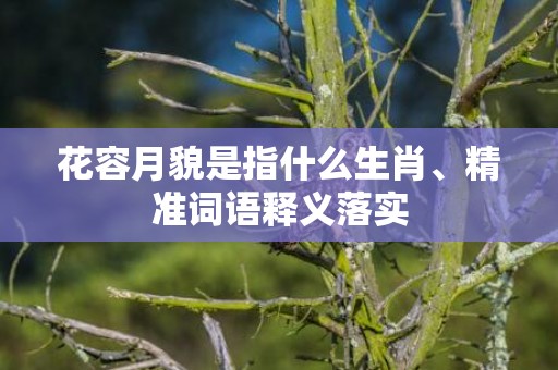 花容月貌是指什么生肖、精准词语释义落实