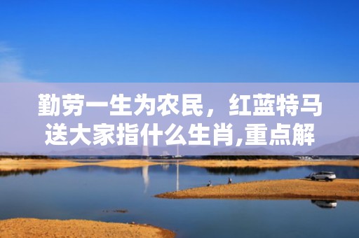 勤劳一生为农民，红蓝特马送大家指什么生肖,重点解析成语落实