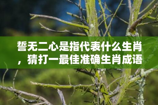 誓无二心是指代表什么生肖，猜打一最佳准确生肖成语落实释义