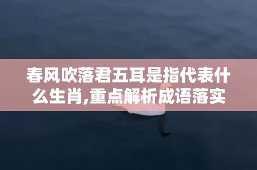 春风吹落君五耳是指代表什么生肖,重点解析成语落实