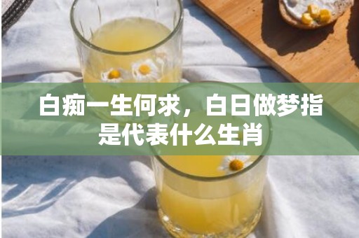 白痴一生何求，白日做梦指是代表什么生肖