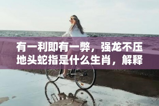 有一利即有一弊，强龙不压地头蛇指是什么生肖，解释成语落实揭晓