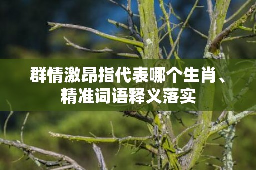 群情激昂指代表哪个生肖、精准词语释义落实