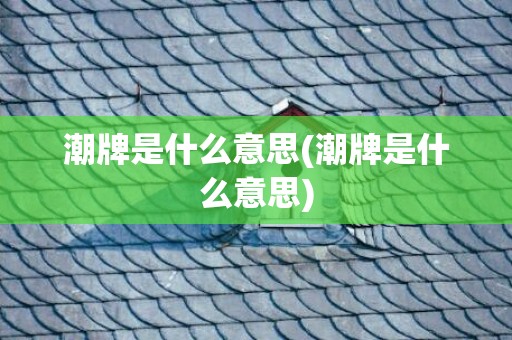 潮牌是什么意思(潮牌是什么意思)