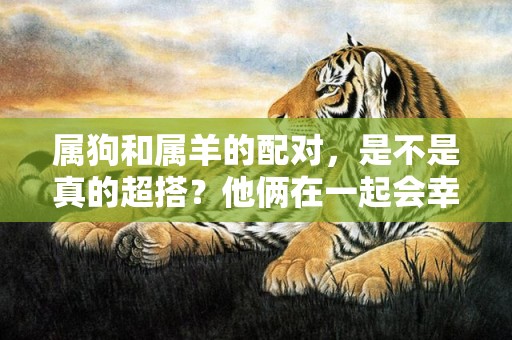 属狗和属羊的配对，是不是真的超搭？他俩在一起会幸福吗？羊和狗在一起会咋样？