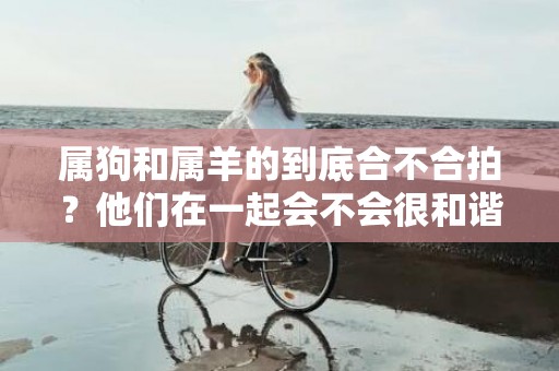 属狗和属羊的到底合不合拍？他们在一起会不会很和谐？