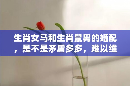 生肖女马和生肖鼠男的婚配，是不是矛盾多多，难以维持？