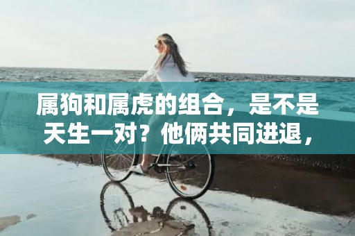 属狗和属虎的组合，是不是天生一对？他俩共同进退，是不是超有默契？