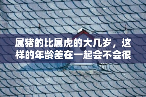 属猪的比属虎的大几岁，这样的年龄差在一起会不会很和谐？