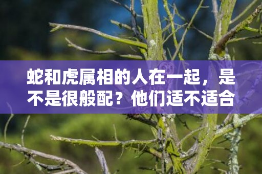 蛇和虎属相的人在一起，是不是很般配？他们适不适合婚配？
