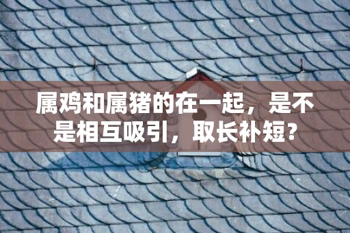 属鸡和属猪的在一起，是不是相互吸引，取长补短？