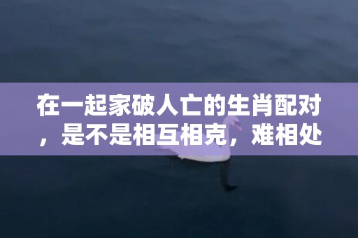 在一起家破人亡的生肖配对，是不是相互相克，难相处？