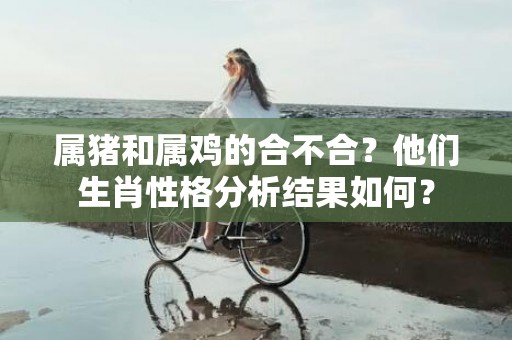 属猪和属鸡的合不合？他们生肖性格分析结果如何？