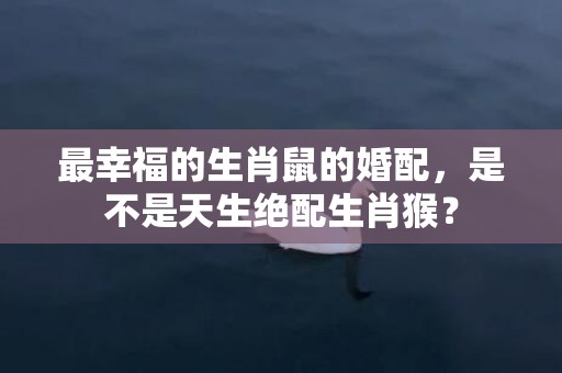 最幸福的生肖鼠的婚配，是不是天生绝配生肖猴？