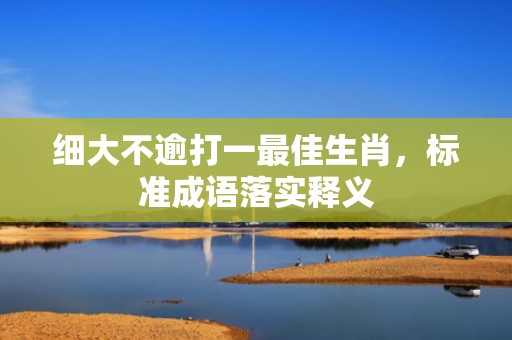 细大不逾打一最佳生肖，标准成语落实释义
