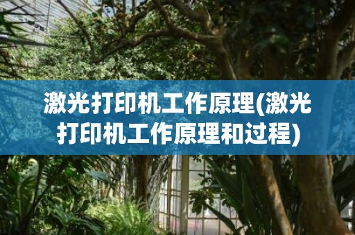 激光打印机工作原理(激光打印机工作原理和过程)