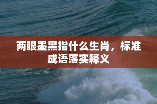 两眼墨黑指什么生肖，标准成语落实释义
