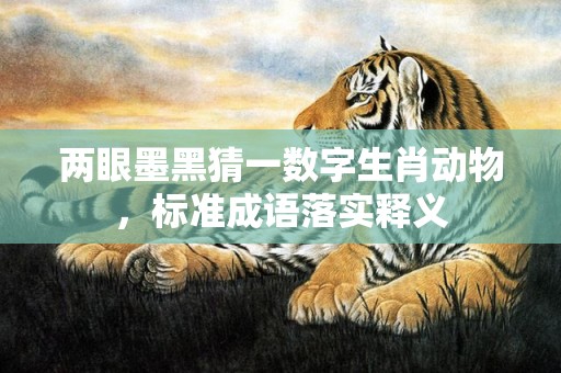 两眼墨黑猜一数字生肖动物，标准成语落实释义