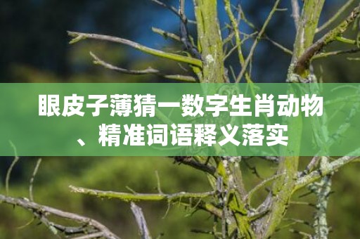 眼皮子薄猜一数字生肖动物、精准词语释义落实