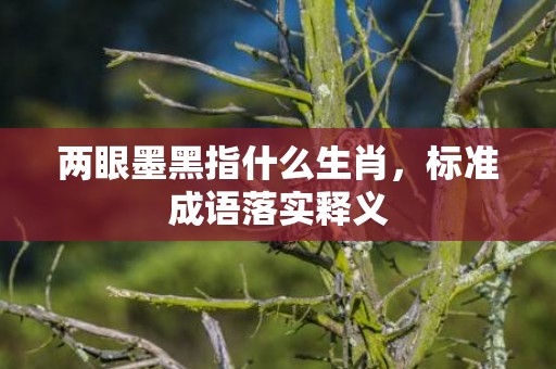 两眼墨黑指什么生肖，标准成语落实释义