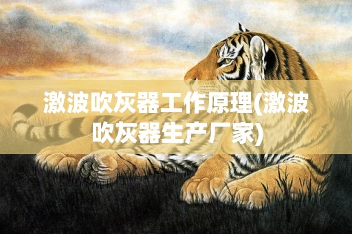 激波吹灰器工作原理(激波吹灰器生产厂家)