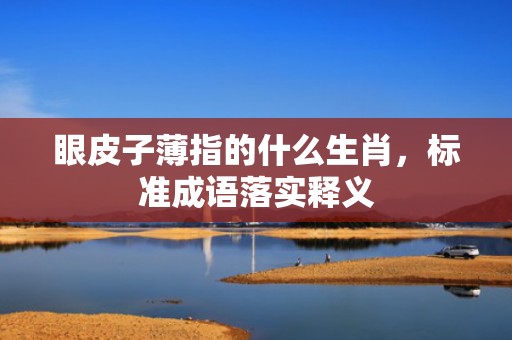 眼皮子薄指的什么生肖，标准成语落实释义
